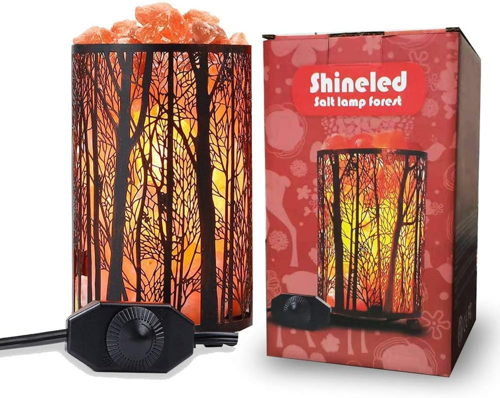 Salt Lamps, Natural Himalayan Salt Lamp, Forest Salt Lamp with Dimmer Switch, Salt Crystal Night Lights, Retro Metal Basket Decor Desk Lamp with Extra 25W Lamp Bulbs